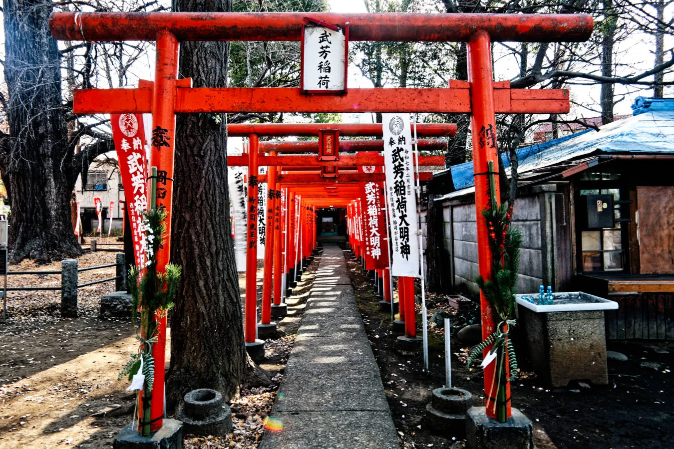 武芳稲荷社＝Takeyoshi-Inari : The Inari shrine remains, its presence predating the temple.